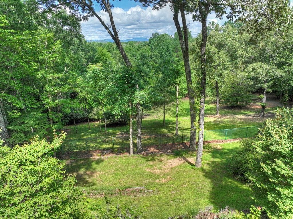 Mineral Bluff, Georgia, 30559, United States, 4 Bedrooms Bedrooms, ,3 BathroomsBathrooms,Residential,Active,1899865