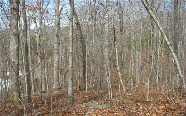 LOT25 SCARLETTS WAY, YOUNG HARRIS, GA 30852, photo 4 of 4