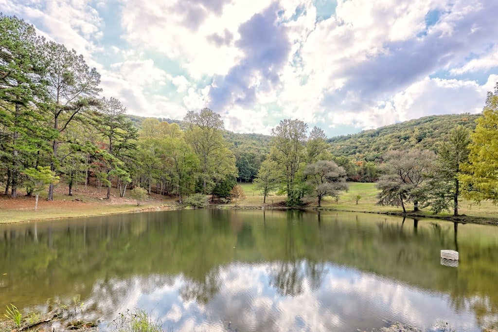 Warne, North Carolina, 28909, United States, 5 Bedrooms Bedrooms, ,6 BathroomsBathrooms,Residential,Active,1968121