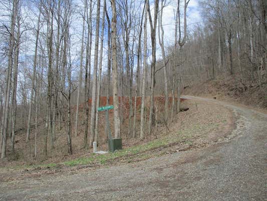 LT 5 HIGH MEADOWS RIDGE, HAYESVILLE, NC 28904, photo 2 of 30