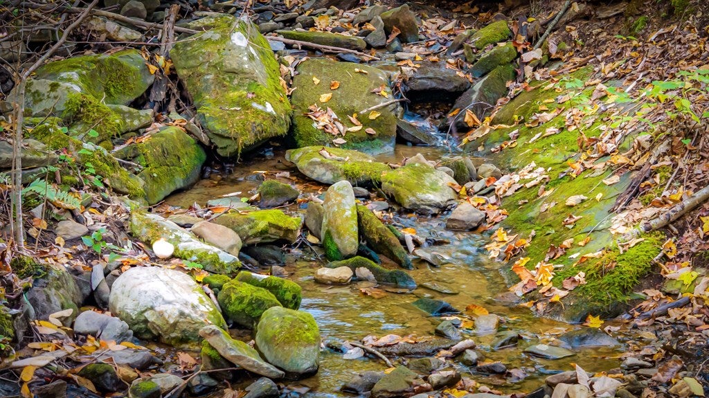 Ellijay, Georgia, 30536, United States, 5 Bedrooms Bedrooms, ,5 BathroomsBathrooms,Residential,Active,1973280