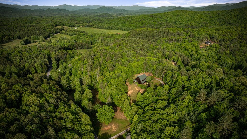 Brasstown, North Carolina, 28902, United States, 4 Bedrooms Bedrooms, ,5 BathroomsBathrooms,Residential,Active,1810516