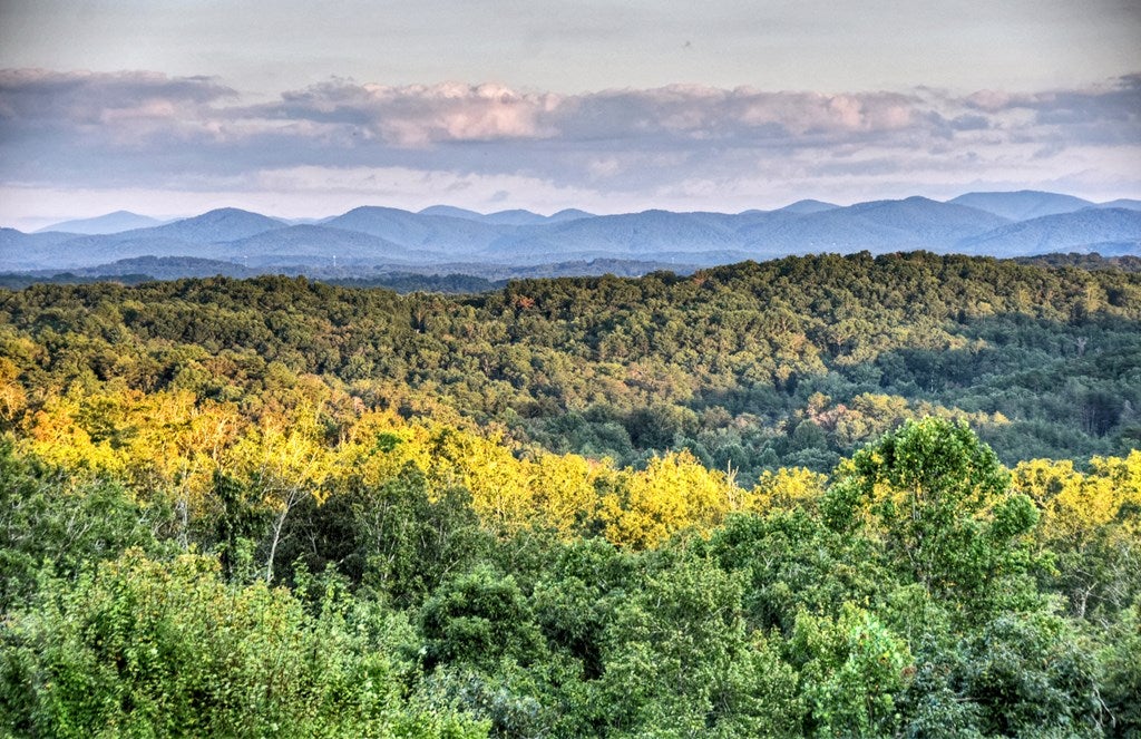 Blue Ridge, Georgia, 30513, United States, 5 Bedrooms Bedrooms, ,5 BathroomsBathrooms,Residential,Active,1945259