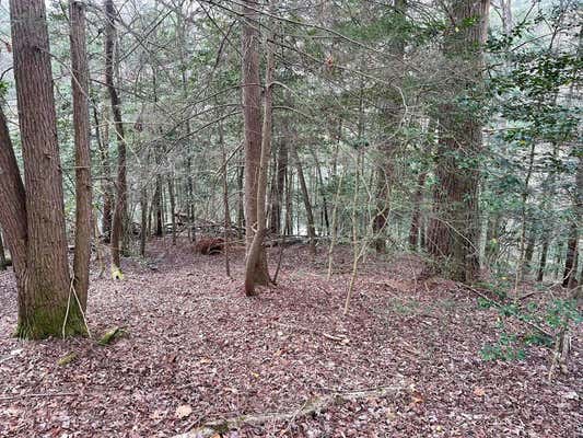 LOT 45 HIDDEN LAKE DRIVE, CHERRY LOG, GA 30522, photo 4 of 5