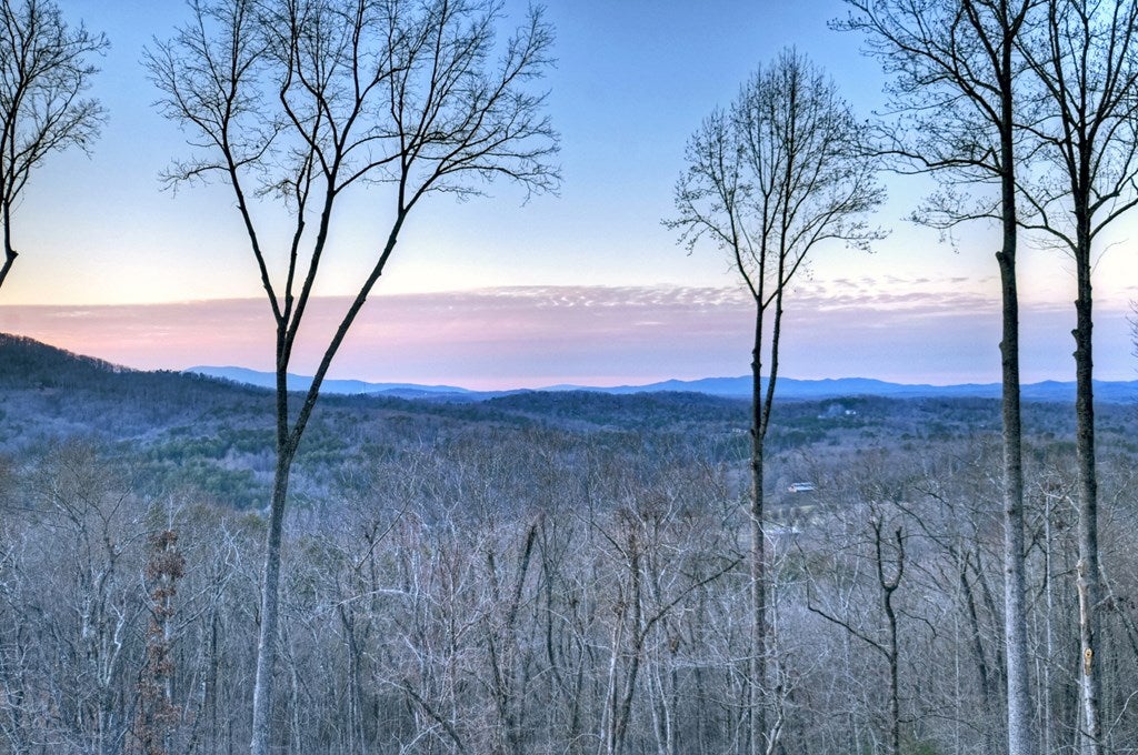Blue Ridge, Georgia, 30513, United States, 5 Bedrooms Bedrooms, ,6 BathroomsBathrooms,Residential,Active,2017447