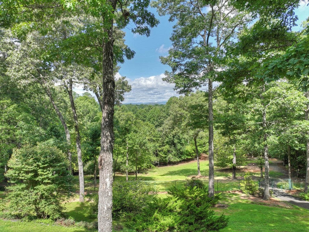 Mineral Bluff, Georgia, 30559, United States, 4 Bedrooms Bedrooms, ,3 BathroomsBathrooms,Residential,Active,1899865