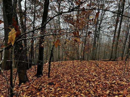 0 MOUNTAIN TOP DRIVE, MURPHY, NC 28906, photo 4 of 6