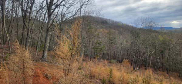 TRACT 4 SATCHER LANE, YOUNG HARRIS, GA 30582, photo 3 of 5