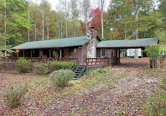 433 TOMAHAWK TRL, BLAIRSVILLE, GA 30512 - Image 1