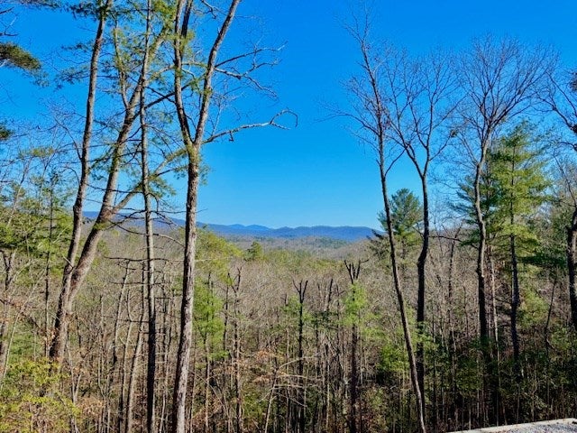 Blue Ridge, Georgia, 30513, United States, 4 Bedrooms Bedrooms, ,4 BathroomsBathrooms,Residential,Active,1941116