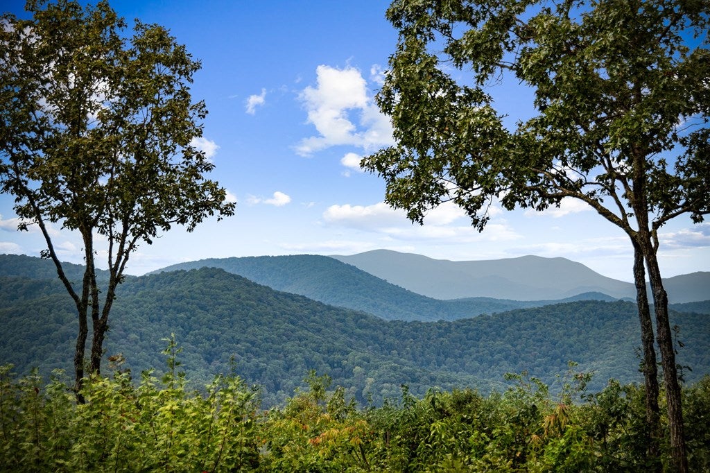 Morganton, Georgia, 30560, United States, 4 Bedrooms Bedrooms, ,5 BathroomsBathrooms,Residential,Active,1952626