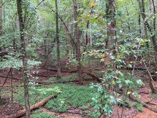 LOT 3485 BAMBY LANE, ELLIJAY, GA 30540, photo 3 of 9