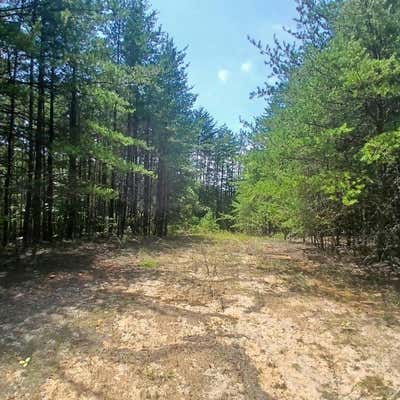 75 AC. NORTH PINEY SPUR, ELLIJAY, GA 30540, photo 4 of 5