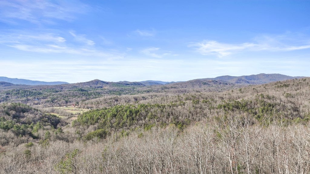 Mineral Bluff, Georgia, 30559, United States, 4 Bedrooms Bedrooms, ,6 BathroomsBathrooms,Residential,Active,1914767