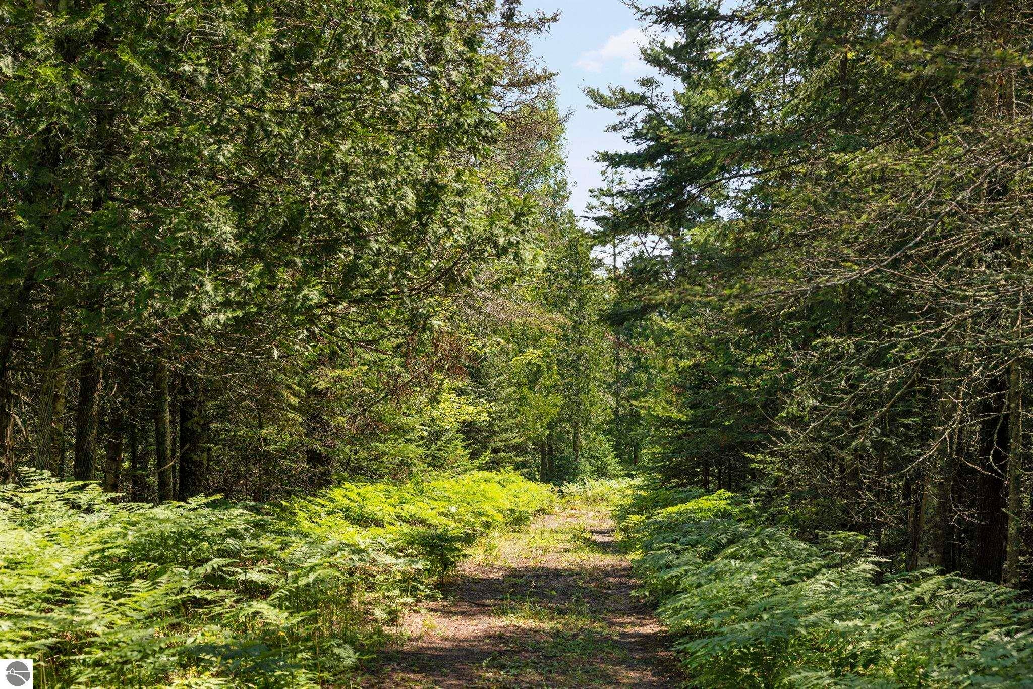 Manistique, Michigan, 49854, United States, 5 Bedrooms Bedrooms, ,5 BathroomsBathrooms,Residential,Active,1778718