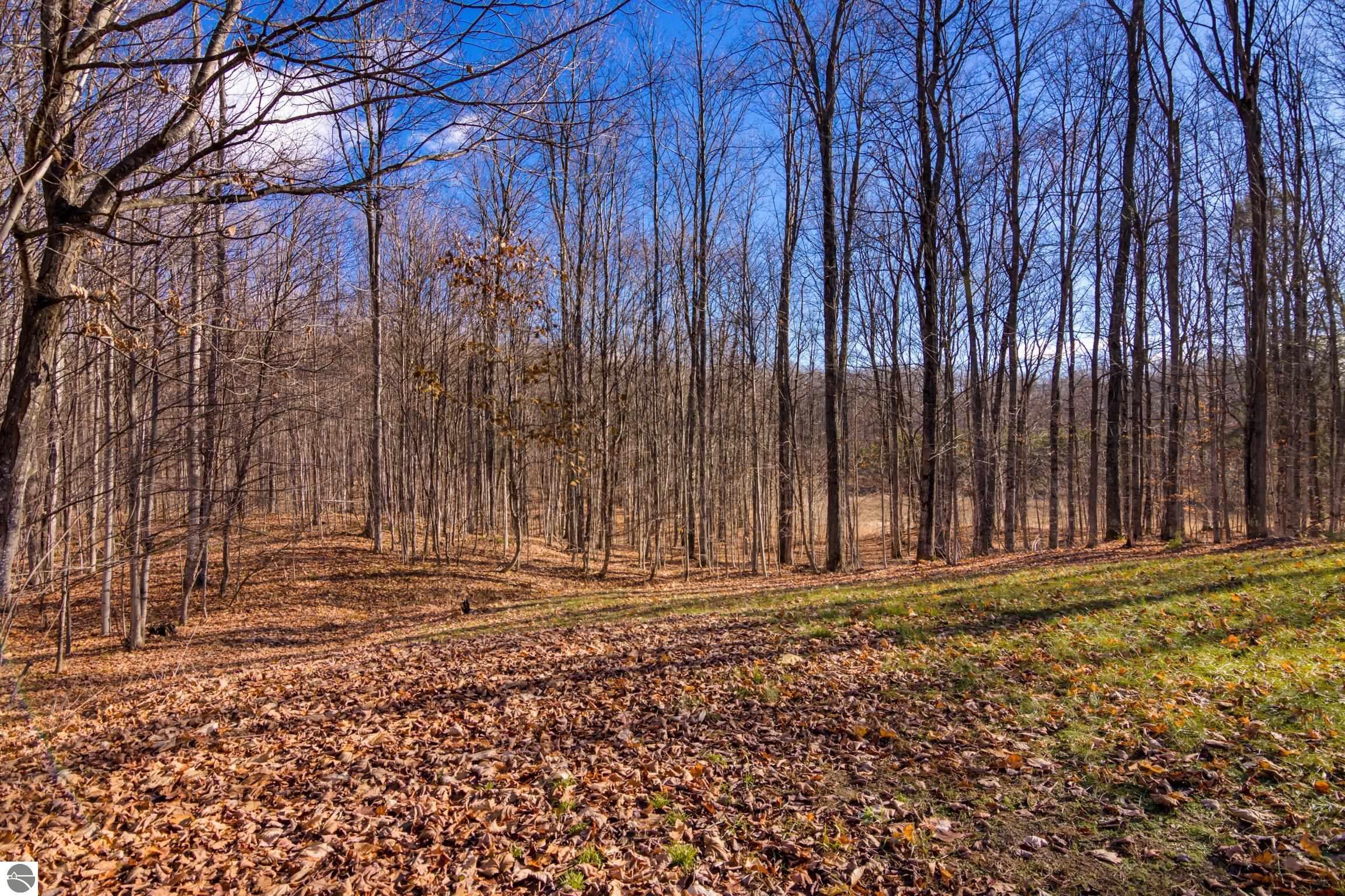 Kalkaska, Michigan, 49646, United States, 4 Bedrooms Bedrooms, ,5 BathroomsBathrooms,Residential,Active,1992305