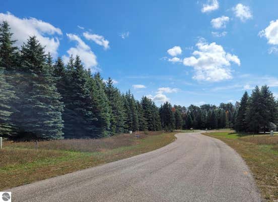 LOT 23 LIPP FARM ROAD, BENZONIA, MI 49616, photo 5 of 10