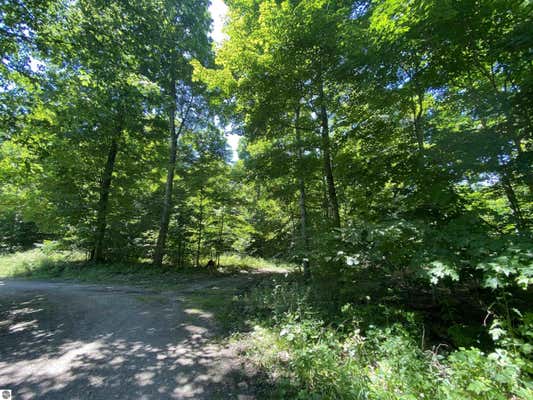 S BENZONIA TRAIL, EMPIRE, MI 49630 - Image 1