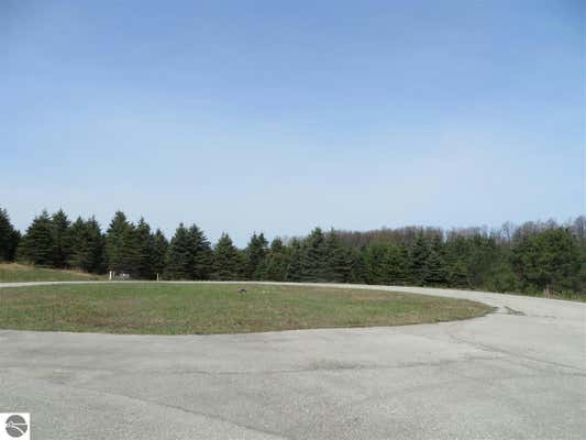 4 SPRUCE HOLLOW TRACE, FIFE LAKE, MI 49633 - Image 1