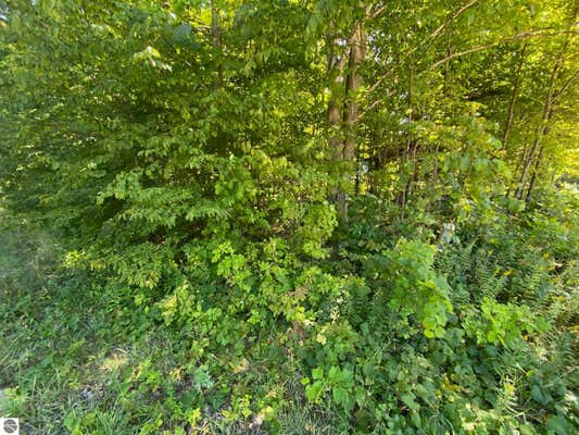 LOT 134 E CHERRY LANE, CEDAR, MI 49621, photo 5 of 7