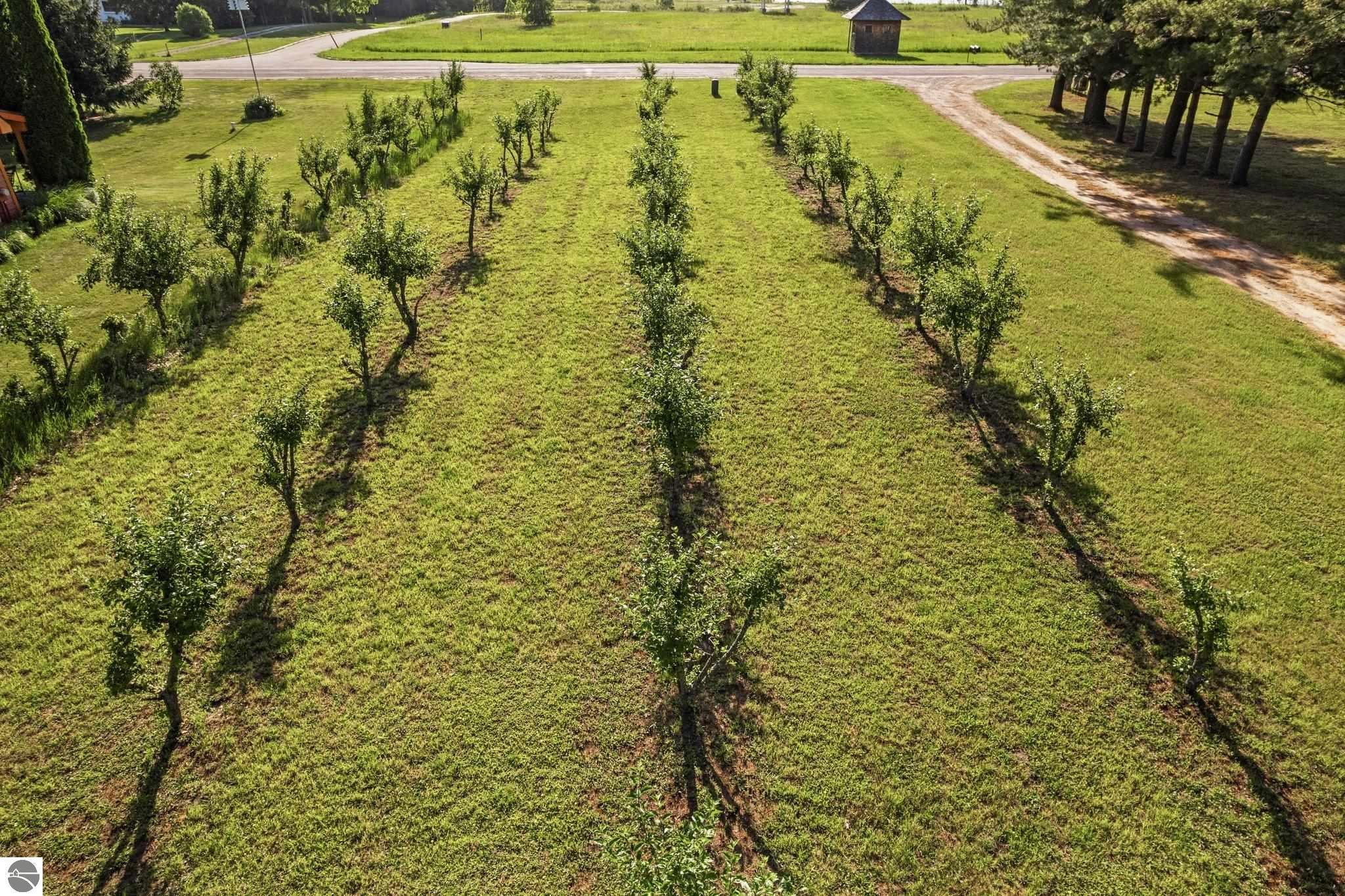 Traverse City, Michigan, 49686, United States, 11 Bedrooms Bedrooms, ,12 BathroomsBathrooms,Residential,Active,1871584