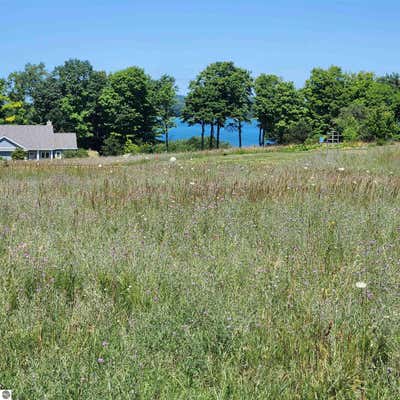 4712 E WATER VIEW DR, LAKE LEELANAU, MI 49653 - Image 1