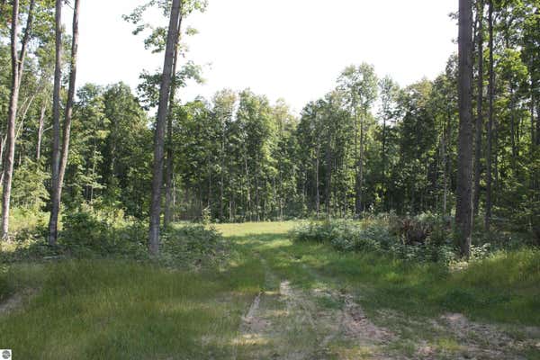 COUNTY ROAD 571, KALKASKA MI 49646, KALKASKA, MI 49646 - Image 1