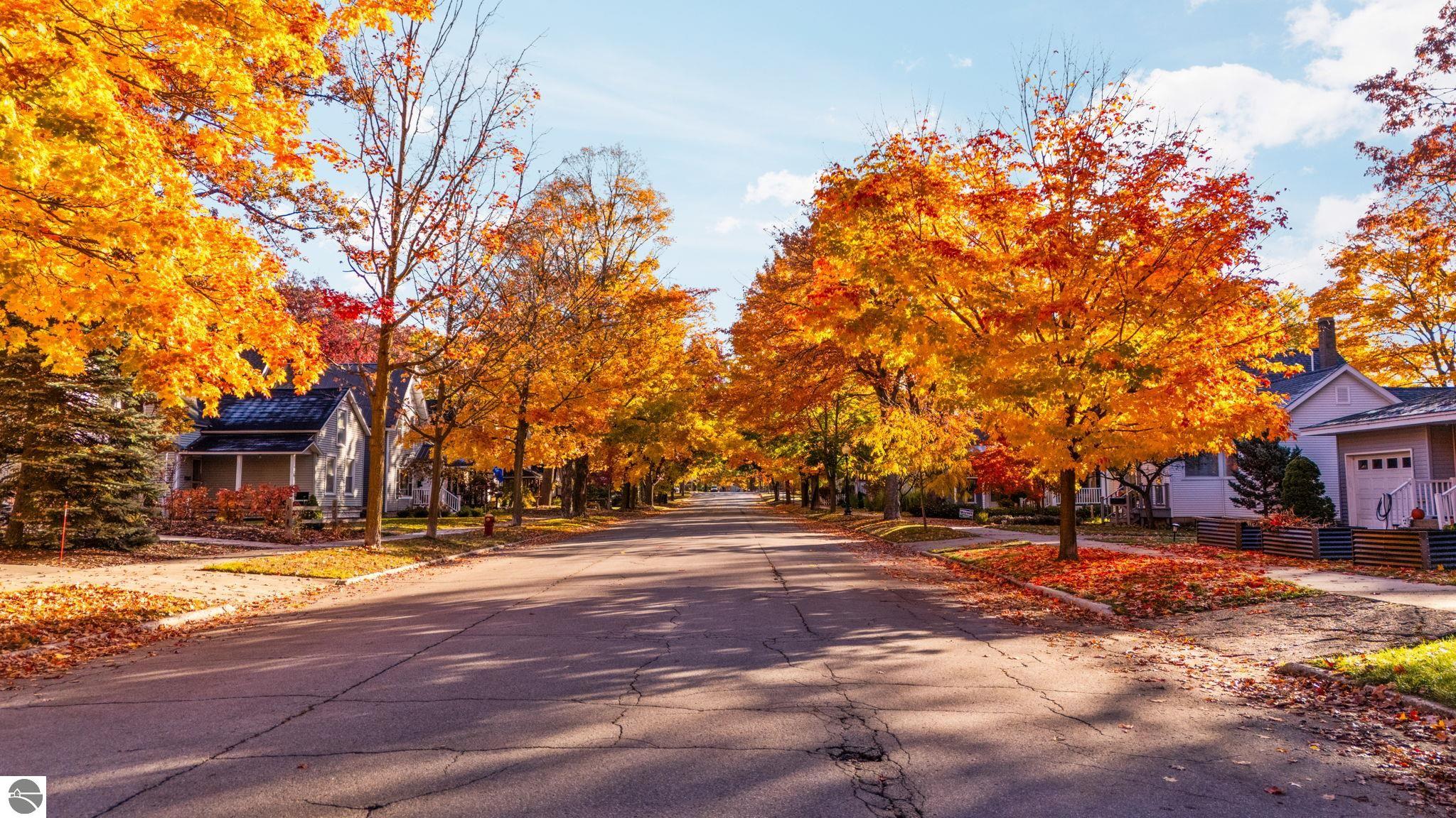 Traverse City, Michigan, 49686, United States, 4 Bedrooms Bedrooms, ,4 BathroomsBathrooms,Residential,Active,1990613