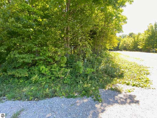 LOT 134 E CHERRY LANE, CEDAR, MI 49621, photo 4 of 7