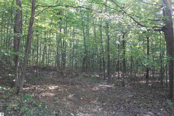 SUNBURRY ROAD, KALKASKA MI 49646, KALKASKA, MI 49646, photo 2 of 19