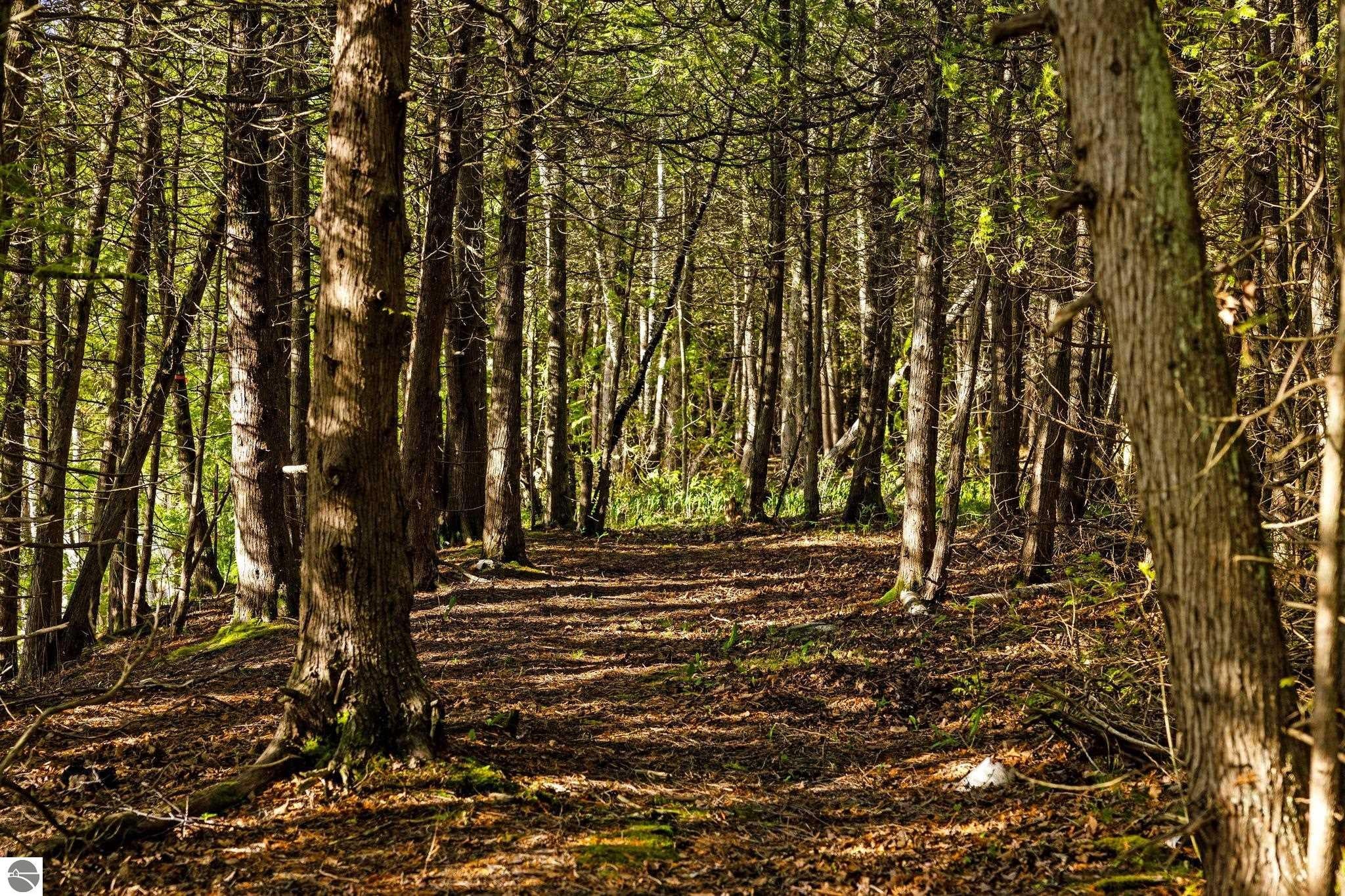 Northport, Michigan, 49670, United States, 3 Bedrooms Bedrooms, ,4 BathroomsBathrooms,Residential,Active,1843407