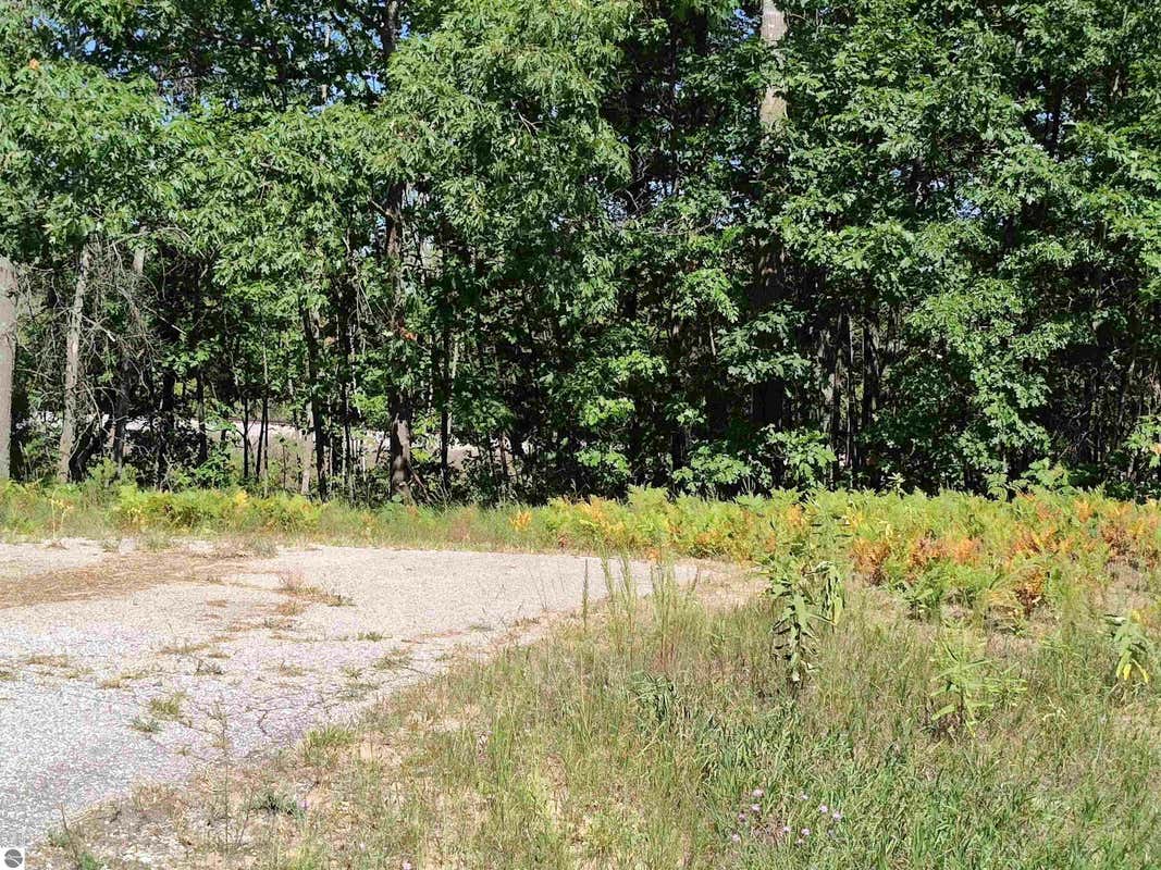 LOT 9 N CIRCLE E, FARWELL, MI 48622, photo 1 of 6