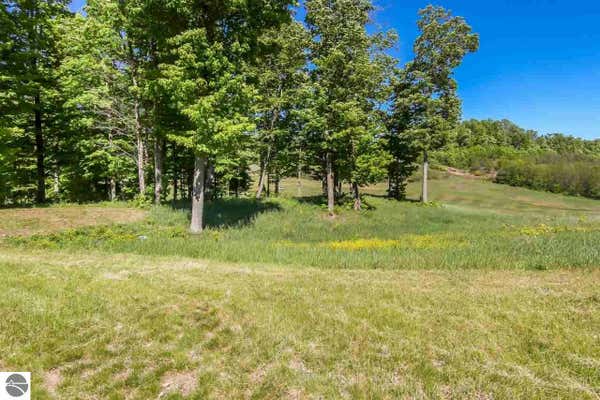 20 HEATHER RIDGE TRL, BEULAH, MI 49617 - Image 1