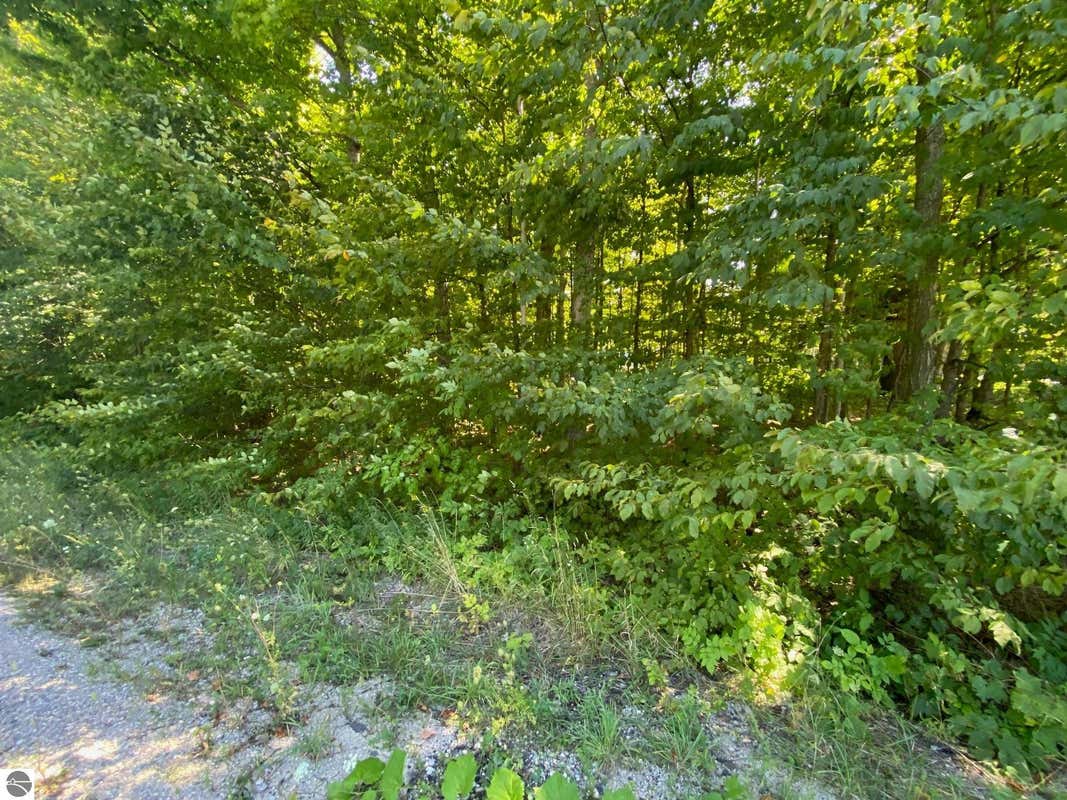 LOT 134 E CHERRY LANE, CEDAR, MI 49621, photo 1 of 7