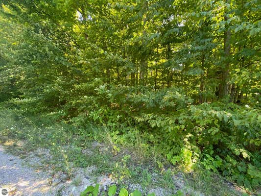 LOT 134 E CHERRY LANE, CEDAR, MI 49621 - Image 1