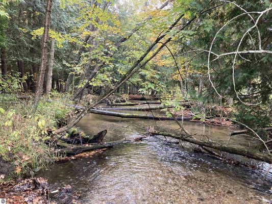 VL 3.08 ACRES WILDERNESS TRAIL, KALEVA, MI 49645 - Image 1