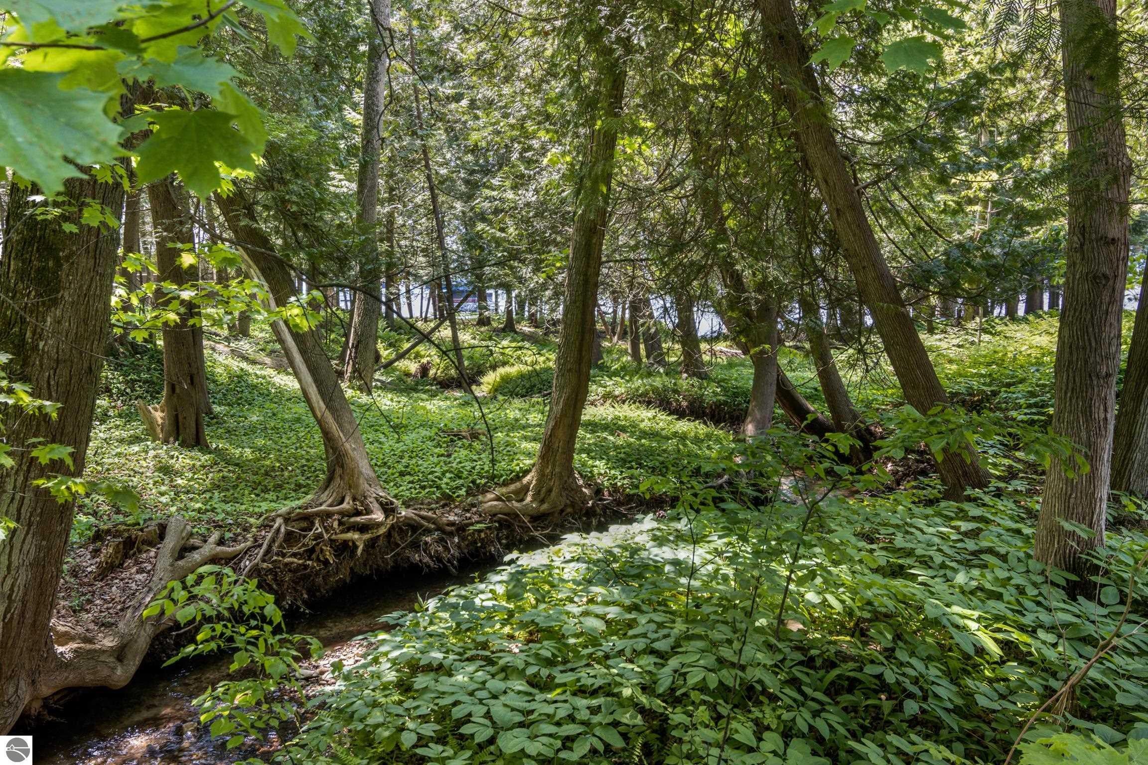 Central Lake, Michigan, 49622, United States, 4 Bedrooms Bedrooms, ,6 BathroomsBathrooms,Residential,Active,1843902