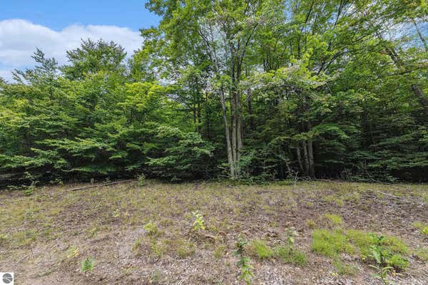 LOT 12 MOUNTAIN WOODS DRIVE, THOMPSONVILLE, MI 49683 - Image 1