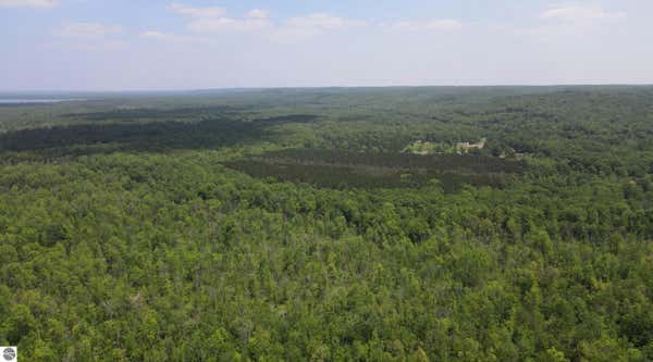 80 ACRES TRAVERSE ROAD, THOMPSONVILLE, MI 49683 - Image 1