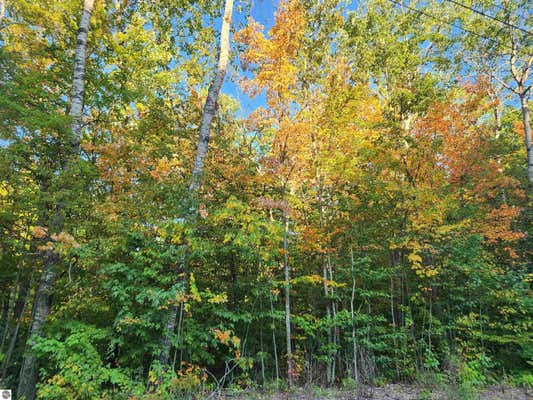 LOT 228 NORTH DONNYBROOK, FREDERIC, MI 49733 - Image 1