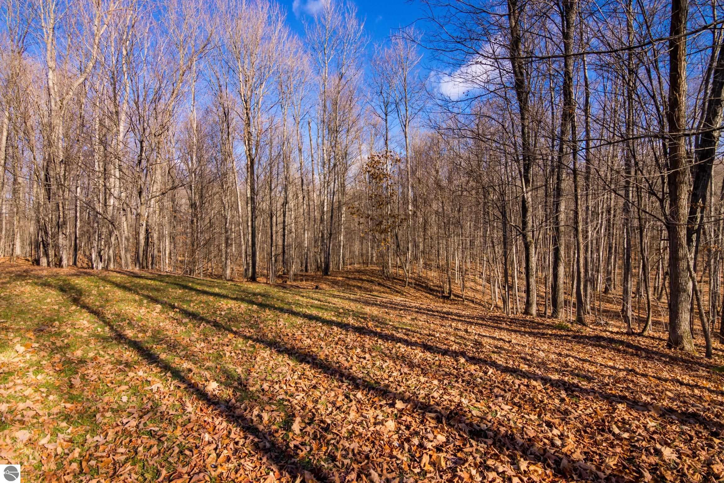 Kalkaska, Michigan, 49646, United States, 4 Bedrooms Bedrooms, ,5 BathroomsBathrooms,Residential,Active,1992305