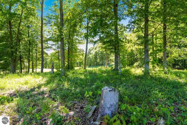 4 HEATHER RIDGE TRL, BEULAH, MI 49617 - Image 1