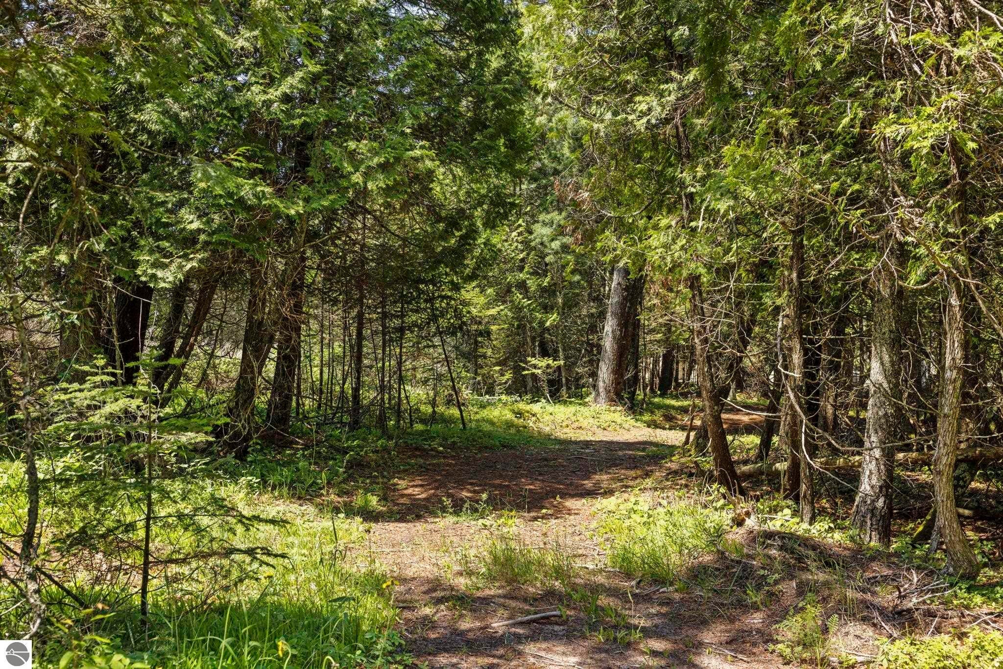 Manistique, Michigan, 49854, United States, 5 Bedrooms Bedrooms, ,5 BathroomsBathrooms,Residential,Active,1778718