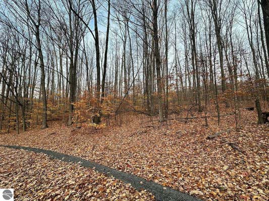 LOT 23 SCHUTZEN LANE, BELLAIRE, MI 49615 - Image 1