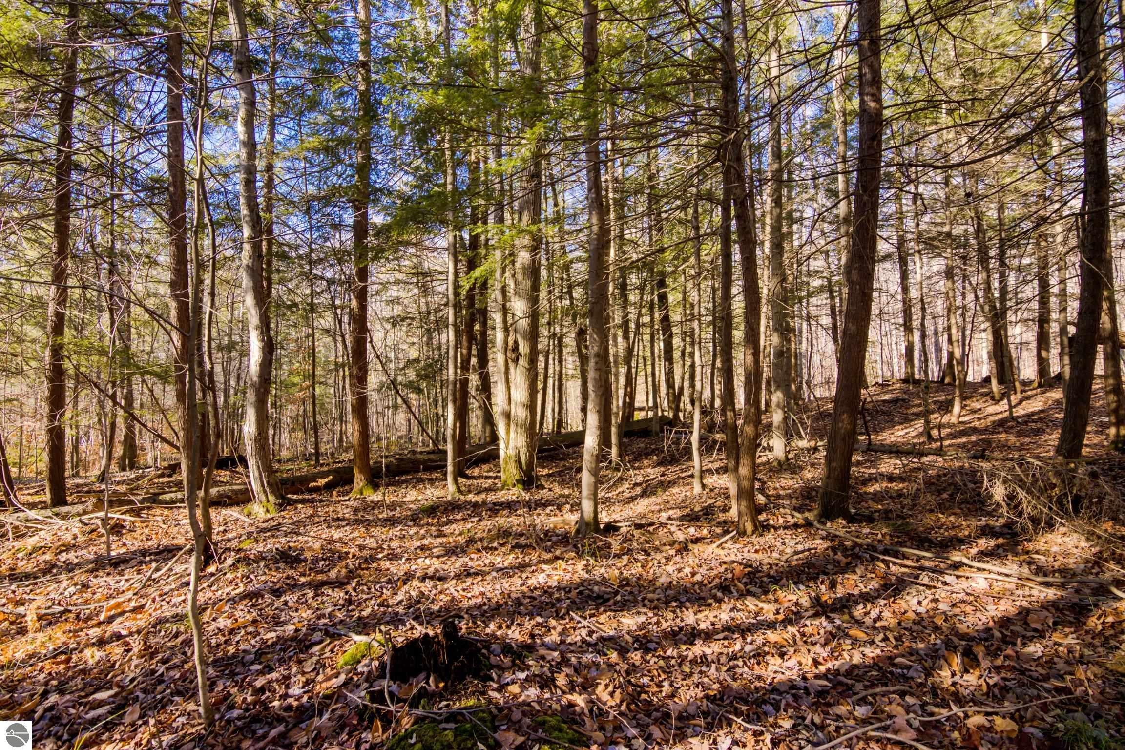 Kalkaska, Michigan, 49646, United States, 4 Bedrooms Bedrooms, ,5 BathroomsBathrooms,Residential,Active,1992305