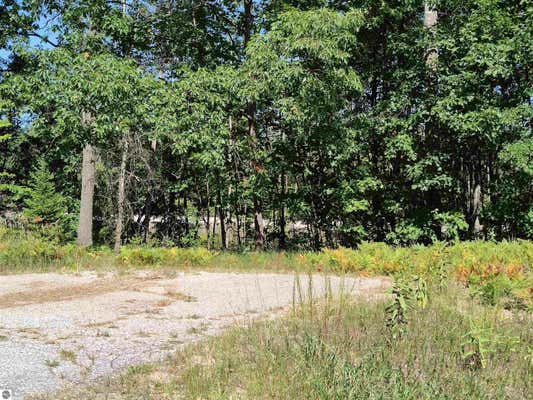 LOT 9 N CIRCLE E, FARWELL, MI 48622, photo 4 of 6