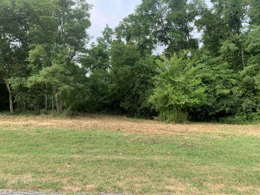 2.2 ACRES KENNEDY RIDGE ROAD, FALMOUTH, KY 41040, photo 3 of 11