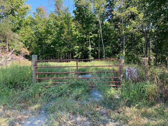 1000 HIDDEN ACRES, MT. OLIVET, KY 41064, photo 1 of 8