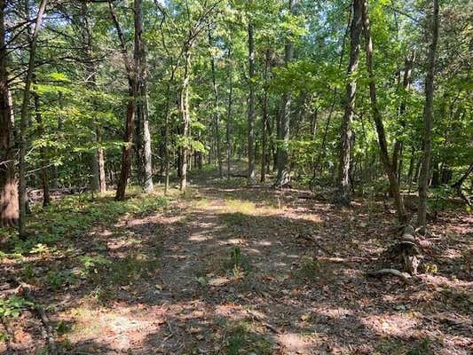 1000 HIDDEN ACRES, MT. OLIVET, KY 41064, photo 3 of 8