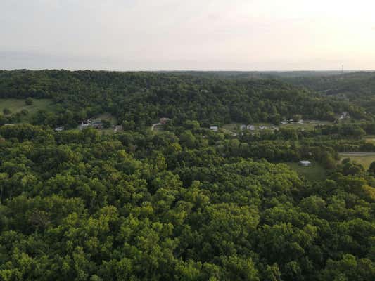 24.1 ACRES MARY INGLES HWY, MELBOURNE, KY 41059, photo 4 of 14